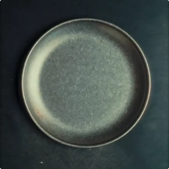 Dark ceramic plate on a moody backdrop